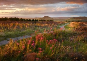 Cleveland Way by Joe Cornish