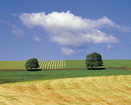 Charlie Wait's Lammermuir, Near Duns, The Borders, Scotland