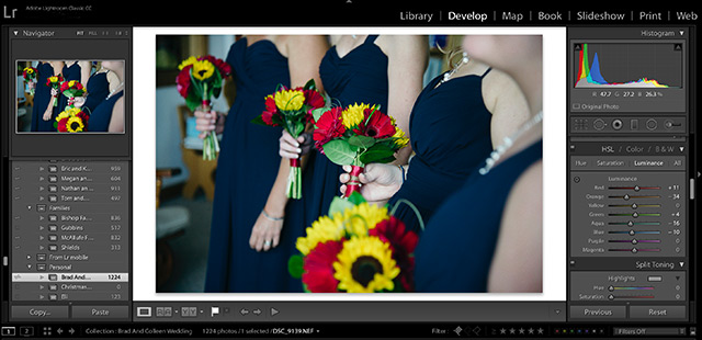 Photo Editing Tips: Use the HSL panel in Lightroom for custom colour